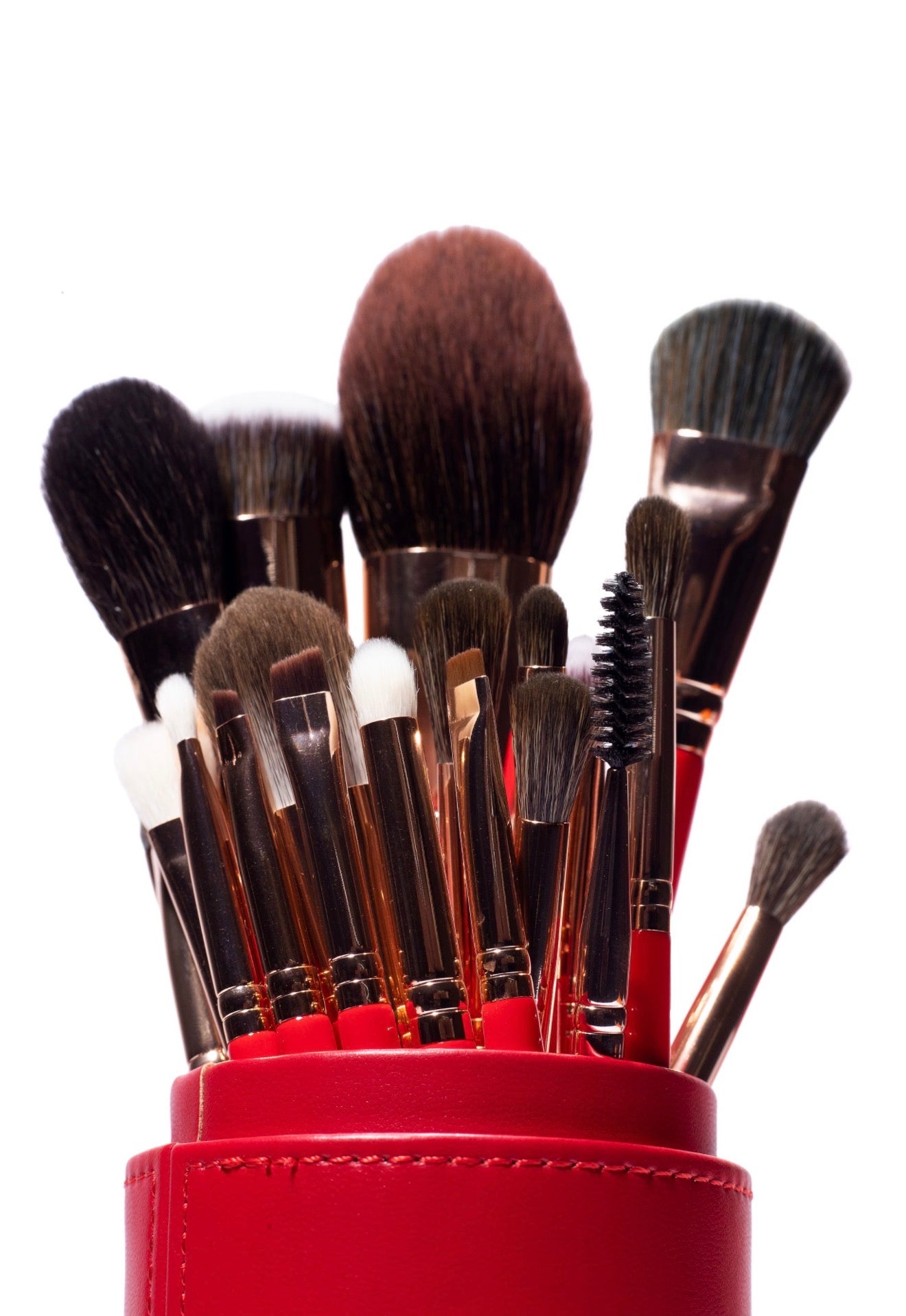 ÉCLAT Professional Brush Set - Nuban Beauty